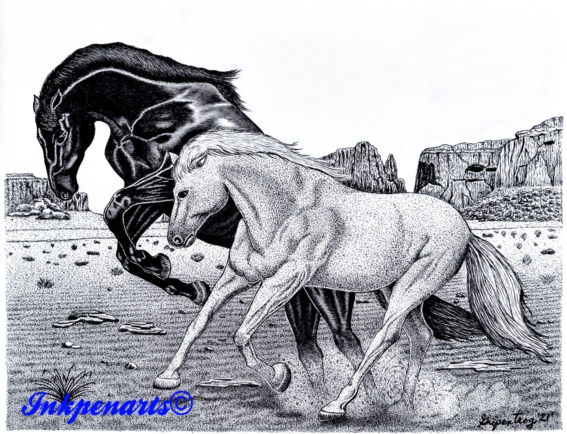 Pen and Ink rendering